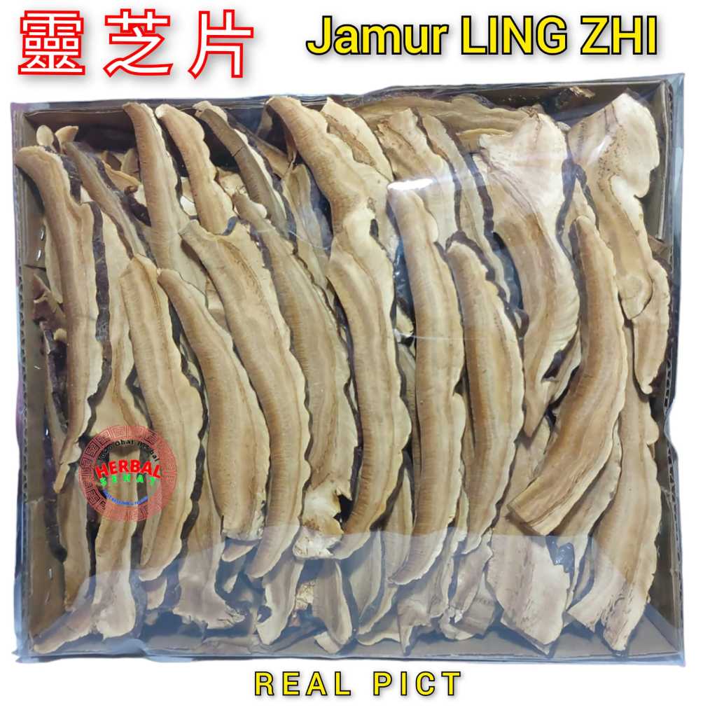 Jual 300 Gram Jamur Ling Zhi Iris PREMIUM / Lingzhi / Lingzhi
