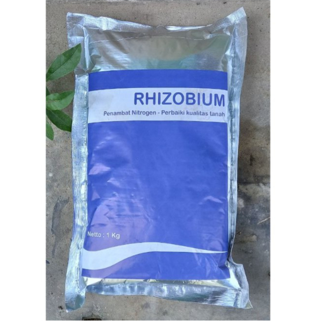 Jual Rhizobium Pupuk Organik Penambat Nitrogen Perbaiki Kualitas dan ...