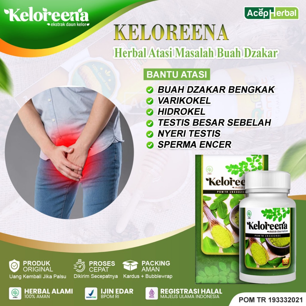 Jual Obat Buah Zakar Bengkak Varikokel Hidrokel Epididimis Testis Besar