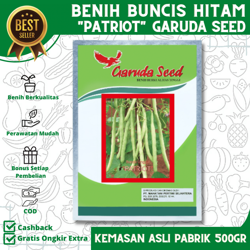 Jual Benih Buncis Hitam Patriot 500 Gr Bibit Buncis Biji Hitam Kemasan Pabrik Garuda Seed 7946