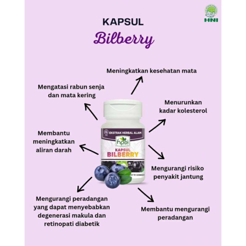 Jual Bilberry hni menjaga kesehatan mata Shopee Indonesia