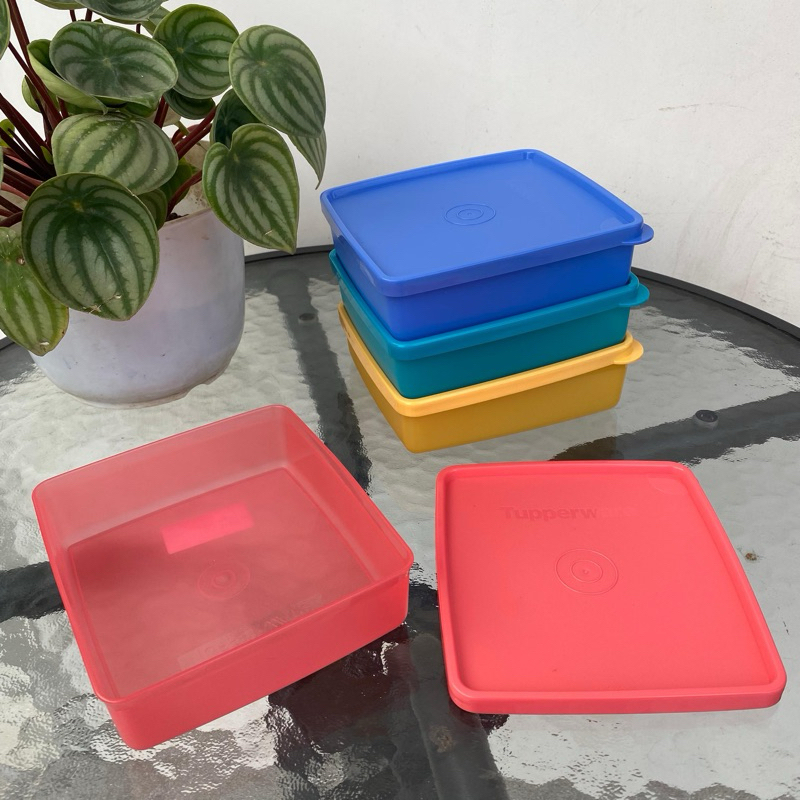 Jual Kotak makan polos Tupperware | Shopee Indonesia