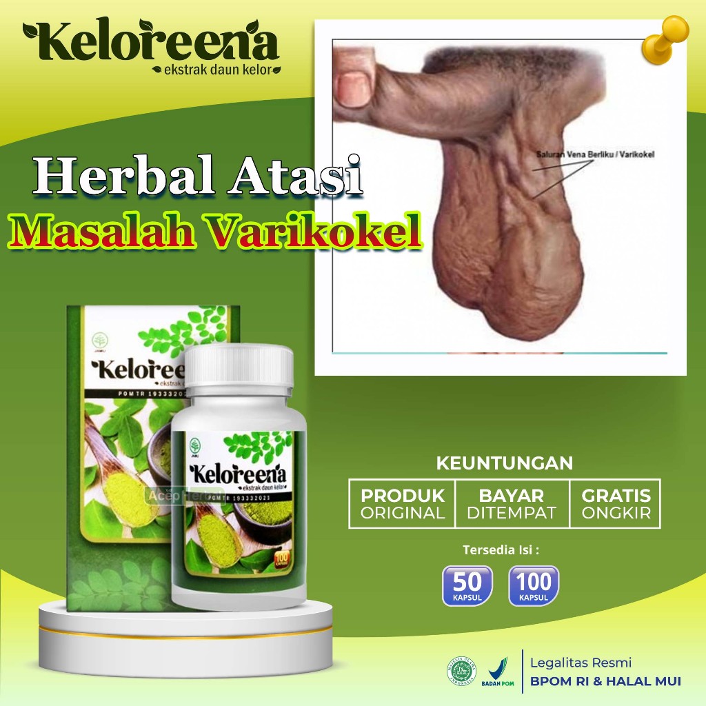 Jual Obat Varikokel Buah Zakar Bengkak Hidrokel Epididimis Testis Besar