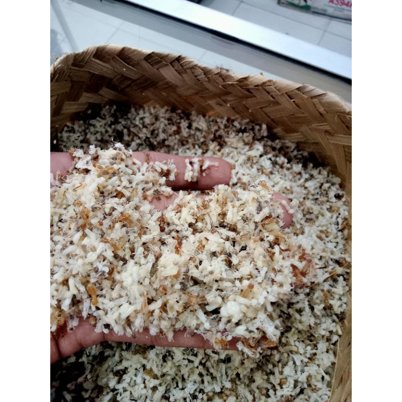 Jual KROTO TELOR SEMUT RANGRANG/KERANGGA KROTO HARGA PER 1 ONS | Shopee ...