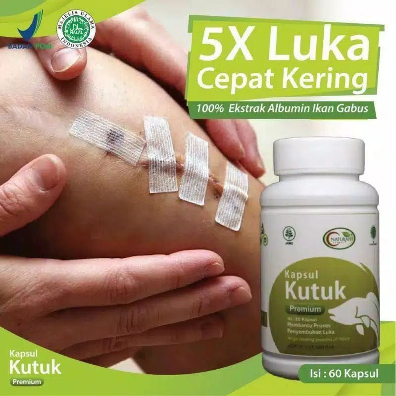 Jual Kapsul Kutuk Premium Original Ekstrak Albumin Ikan Gabus Obat