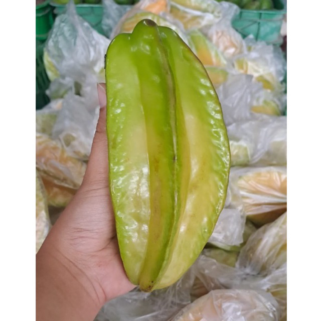 Jual Blimbing Belimbing Fresh 500gr Shopee Indonesia