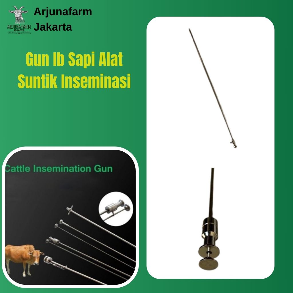 Jual Gun Ib Sapi Alat Suntik Inseminasi Buatan Kawin Suntik Ai Sapi ...