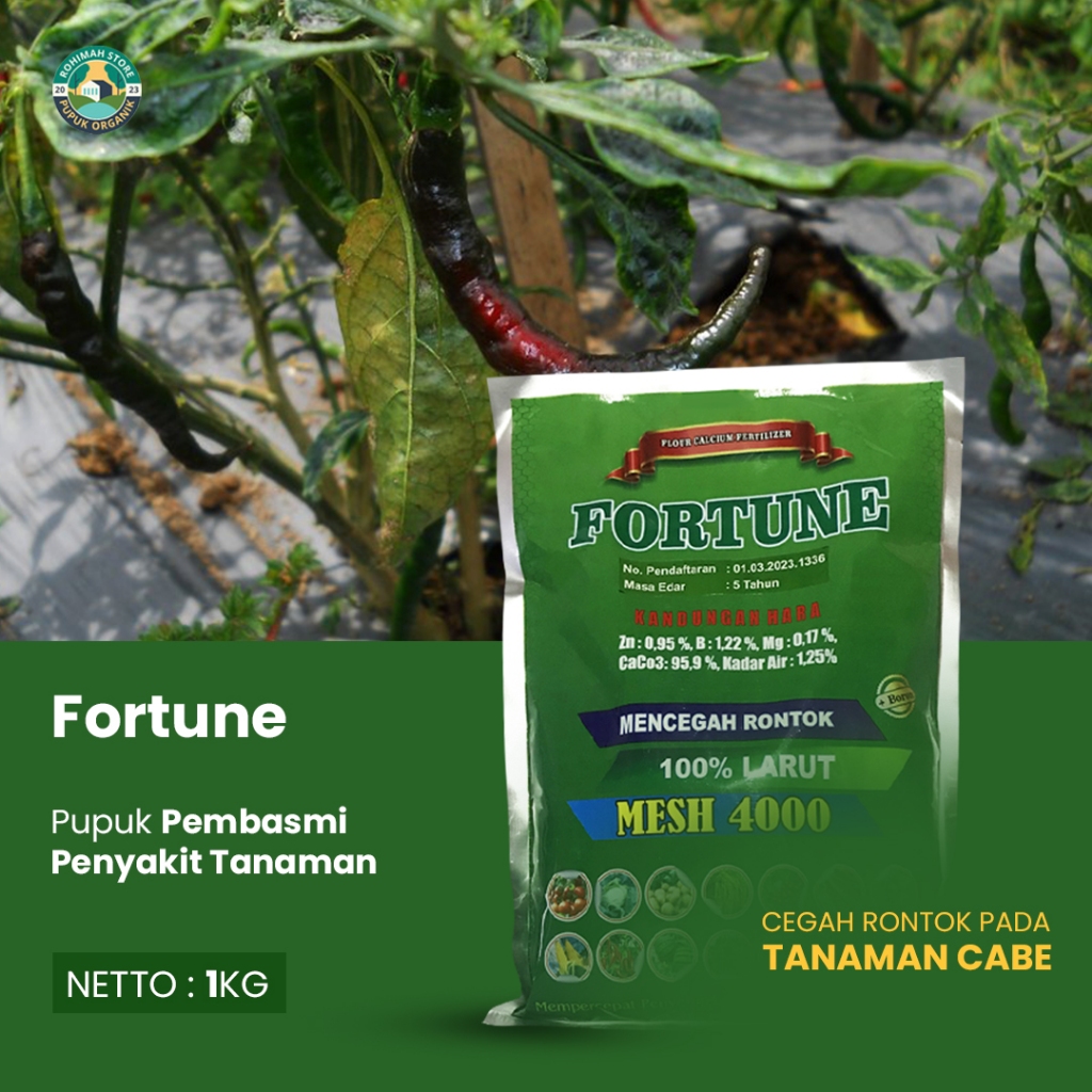 Jual (TERLARIS) Pupuk Kalsium FORTUNE 1KG Cegah Rontok Cabe Cabai ...