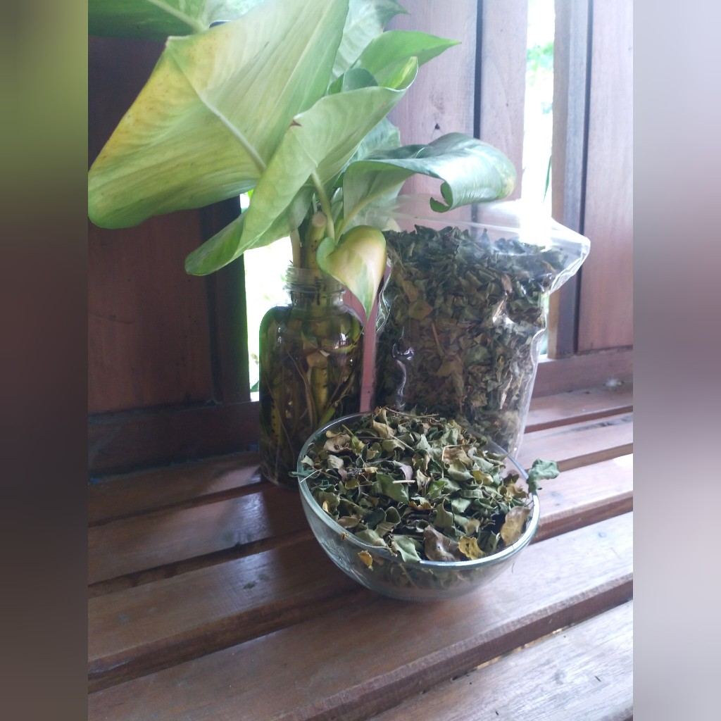 Buah-Buahan Super: Rahasia Kesehatan Mata yang Tersembunyi