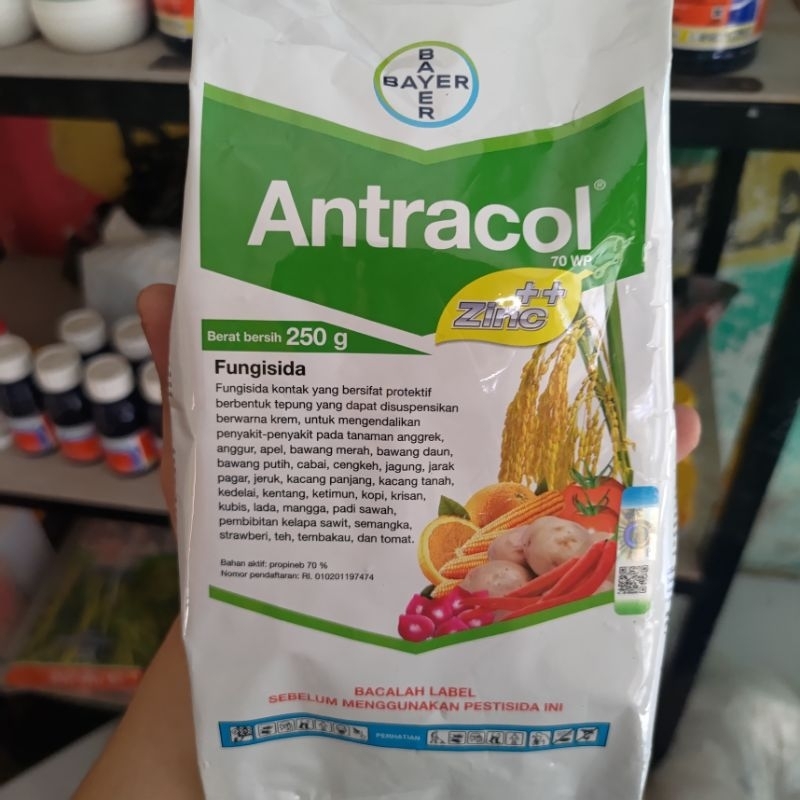 Jual Fungisida Antracol - 250 gr | Shopee Indonesia