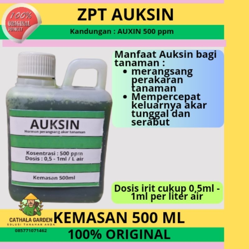 Jual ZPT HORMON AUKSIN 500 PPM KEMASAN 500 ML | KHUSUS UNTUK TANAMAN ...