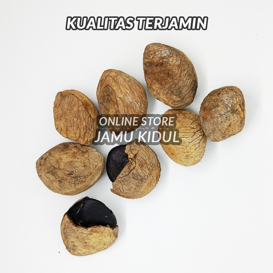 Jual Kluwak Atau Kluwek 500gr Isi Padat Bumbu Rawon Dari Gunung Merapi Shopee Indonesia 