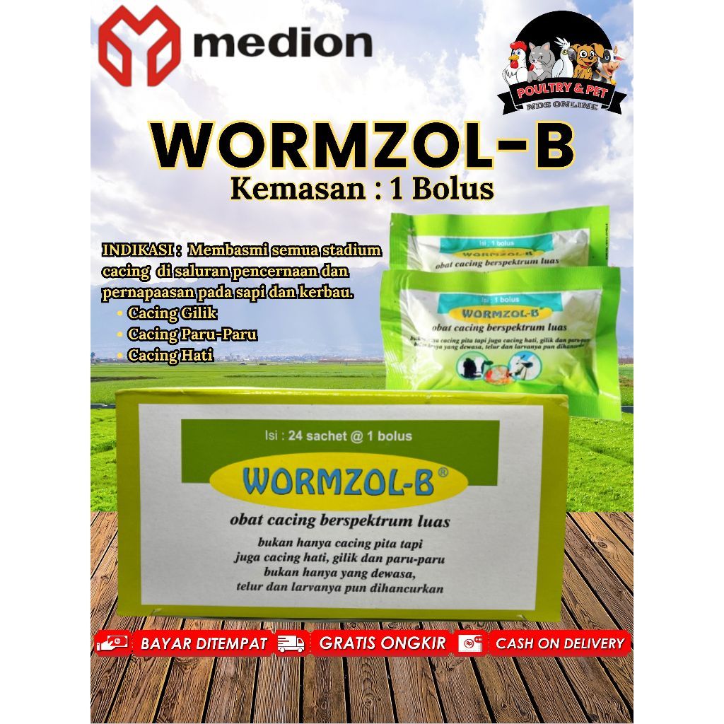 Jual WORMZOL-B Obat Cacing Sapi Isi 1 Bolus MEDION / Sachet | Shopee ...