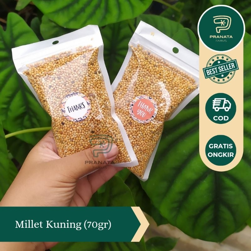 Jual Milet Kuning 70Gr Pakan Burung Kenari, Lovebird, Parkit perkutut ...