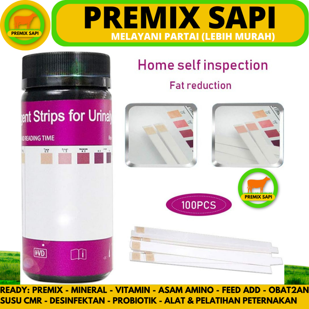 Jual KETONE TEST URINE ISI 100 STRIP - Alat Tes Keton Urin Keto Manusia ...