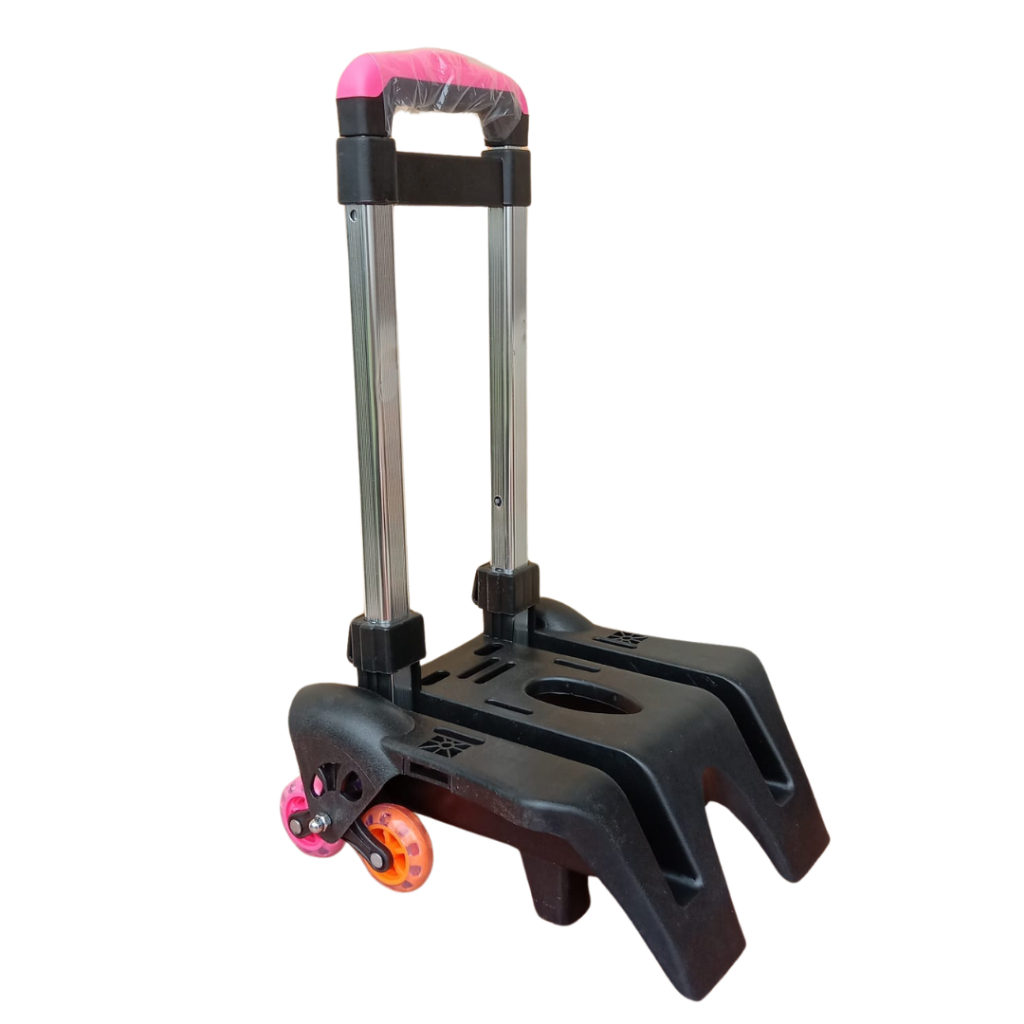 Torli taytdagi eshak fotosurati