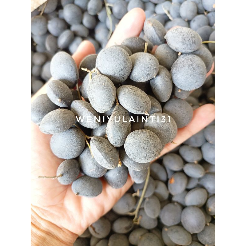Jual asem kuranji / keranji / Kranji /Ranji 1kg | Shopee Indonesia
