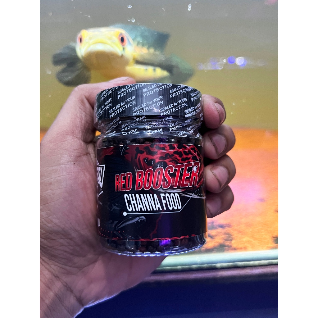 Jual PELET CHANNA RED BOOSTER by BOS BOS QU (PIGMEN RED) | Shopee Indonesia