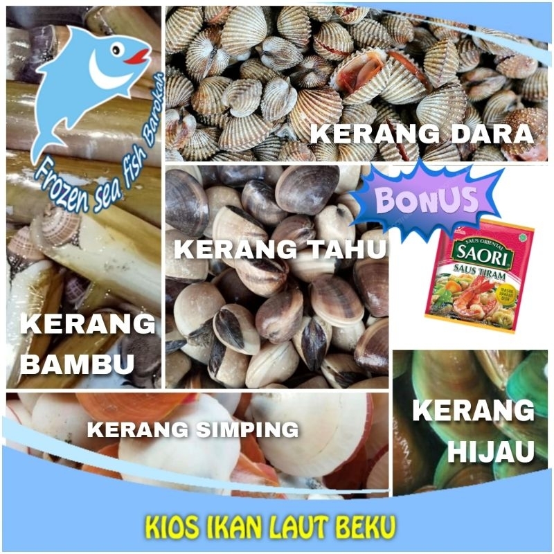 Jual Kerang mix | campur 5 in 1 Kerang Bambu Simping Dara, Hijau Tahu ...