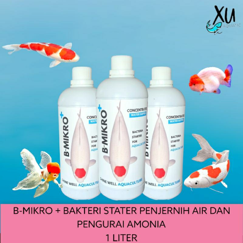 Jual Bmikro Bakteri Stater Untuk Koi Penjernih Air Pengurai Amonia