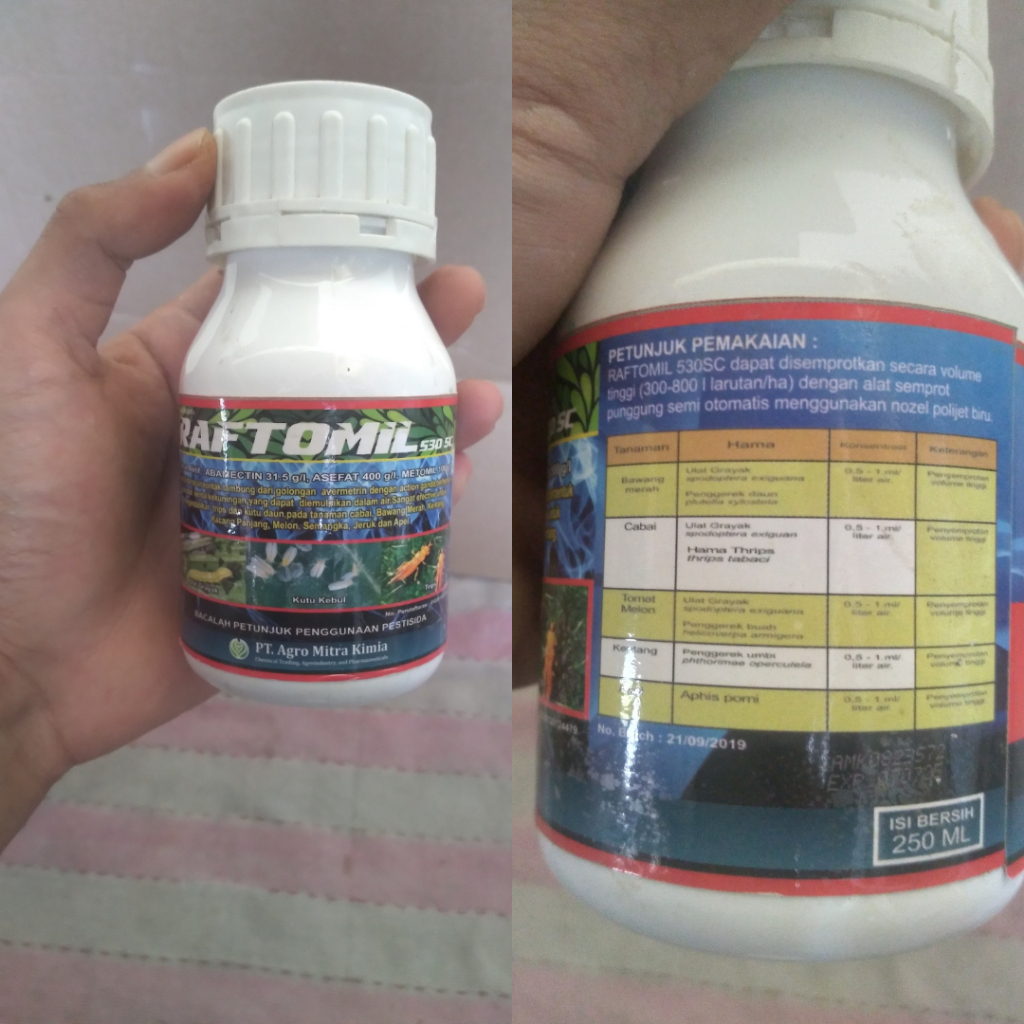 Jual Insektisida Kontak Lambung RAFTOMIL 530SC - Abamektin + Asefat ...