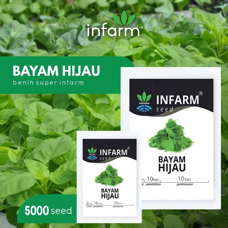 Jual Pack Bibit Benih Sayur Bayam Hijau Kemasan Infarm Benih Sayuran Biji Tanaman Benih