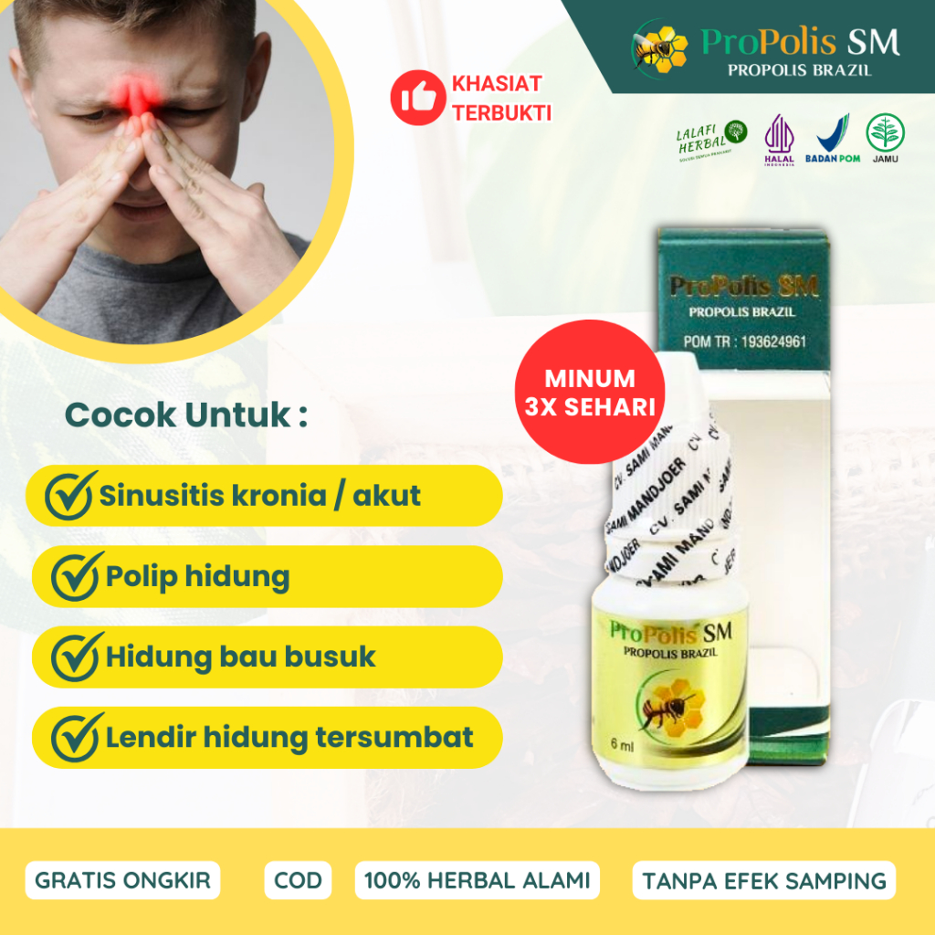 Jual Obat Sinusitis Dan Polip Hidung Menahun, Hidung Tersumbat, Hidung ...