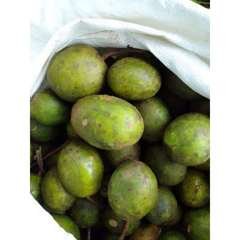 Jual Buah Kedondong Pres 1kg Shopee Indonesia 