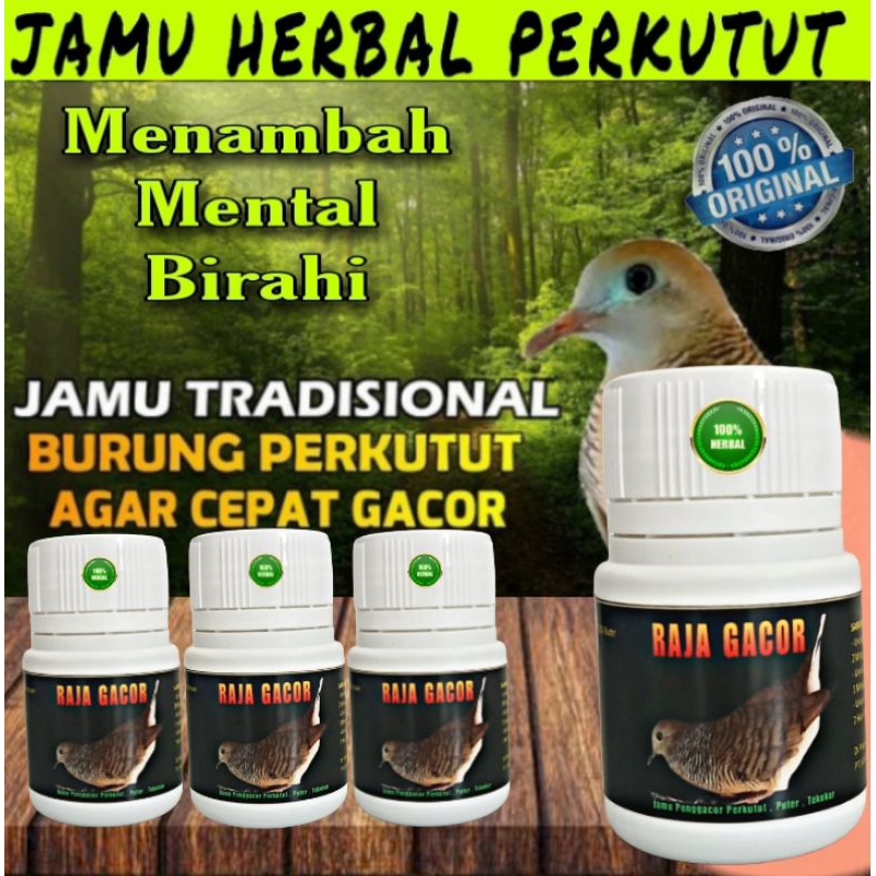 Jual PROMO !!! JAMU PERKUTUT RAJA GACOR PREMIUM ISI 100 BUTIR pil apbn ...