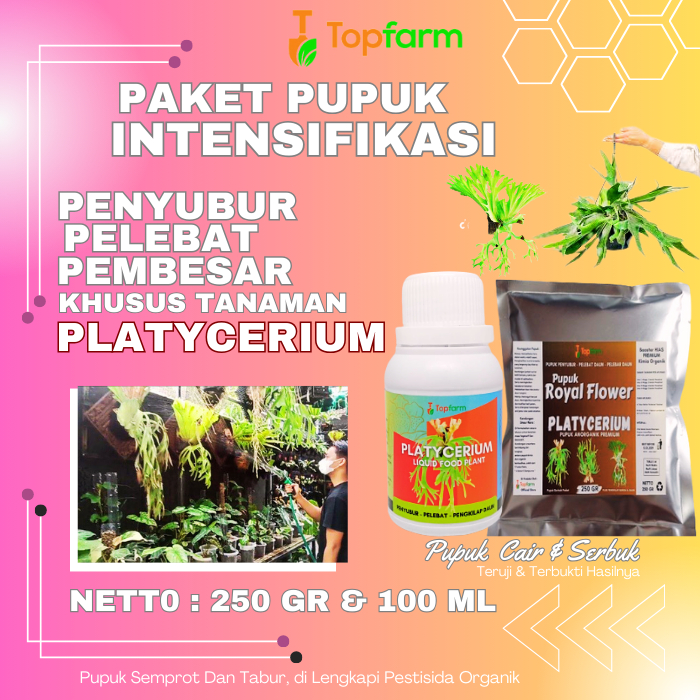 Jual Pupuk Khusus Platycerium Pupuk Platycerium Cair Pupuk