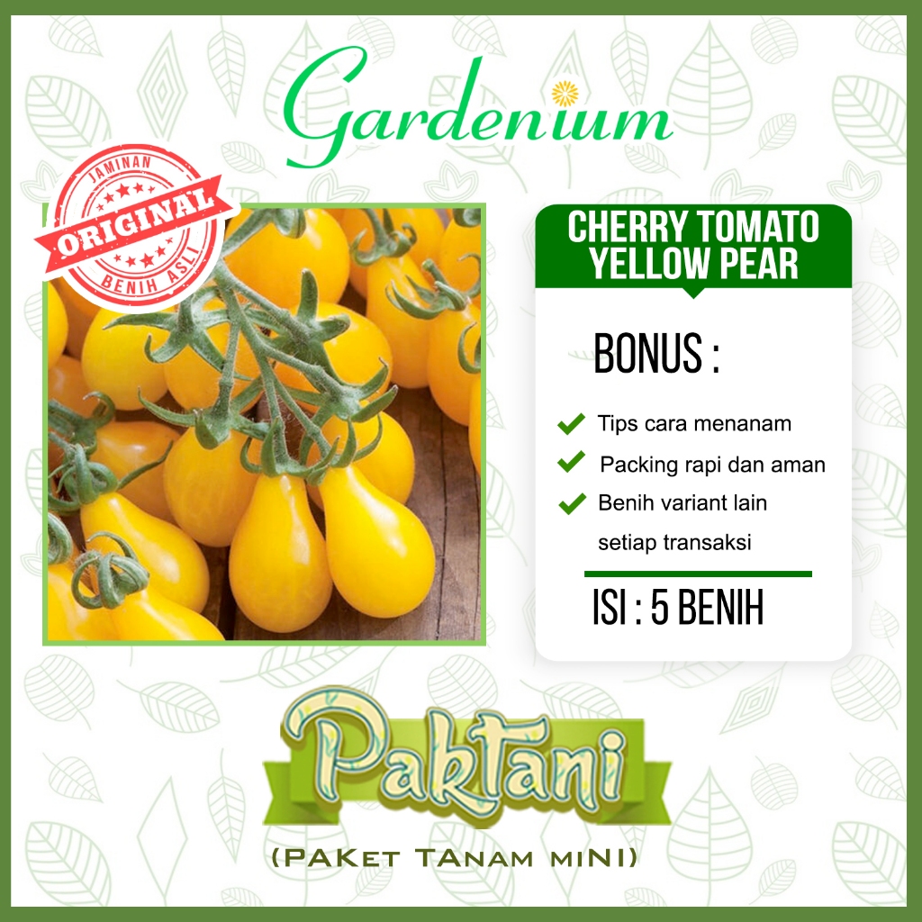 5 Benih Tomat Cherry Yellow Pear Paktani