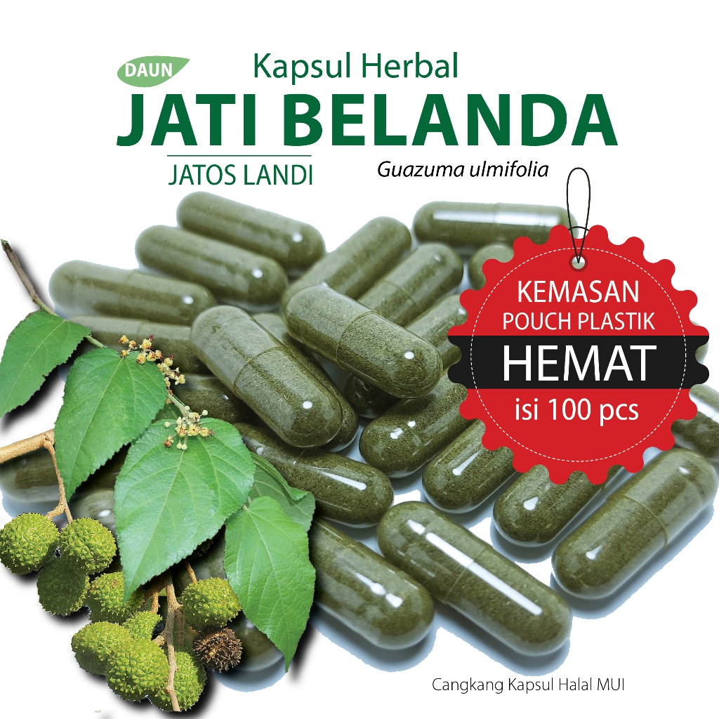 Jual Daun Jati Belanda Kapsul Herbal Kemasan Hemat Isi 100 Pcs Shopee Indonesia 0232