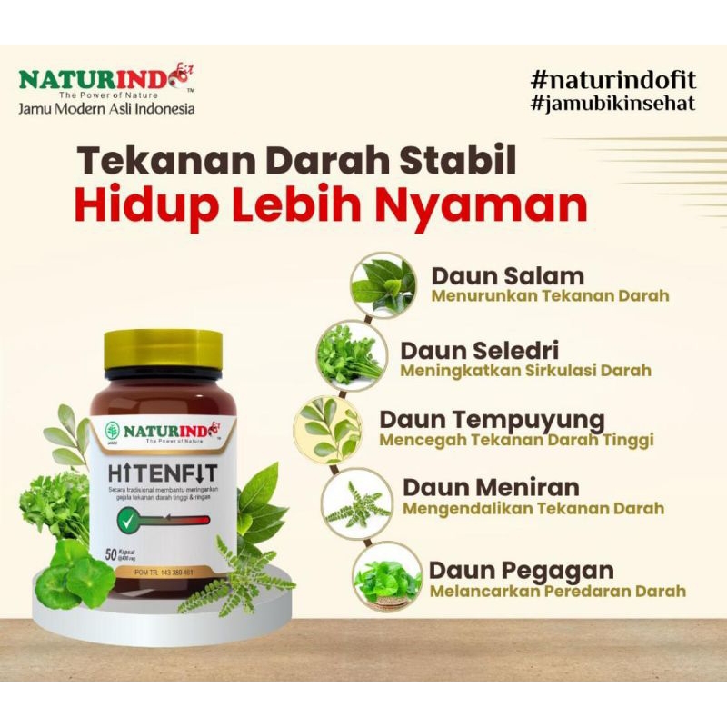 Jual Obat Herbal Darah Tinggi Hipertensi Penurun Tekanan Darah Tinggi