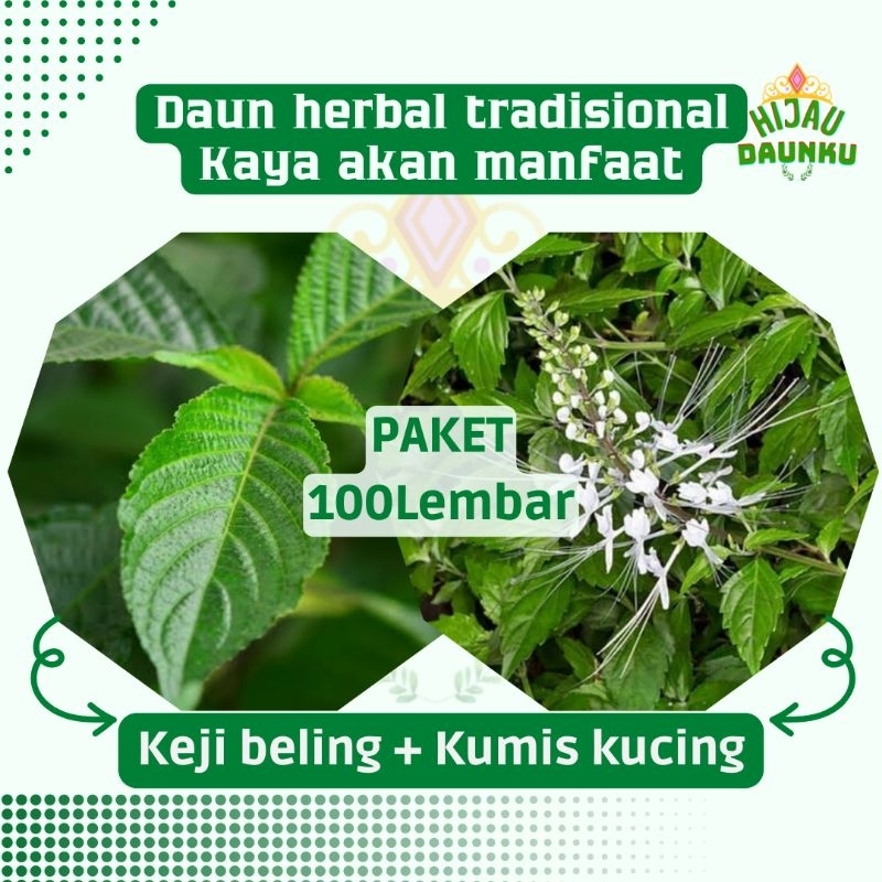 Jual PAKET 100 Lembar Keji beling & 100Lembar Kumis kucing Daun Herbal