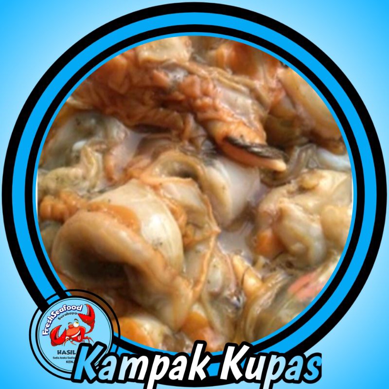 Jual Kerang manuk/kampak kupas 1 kg | Shopee Indonesia