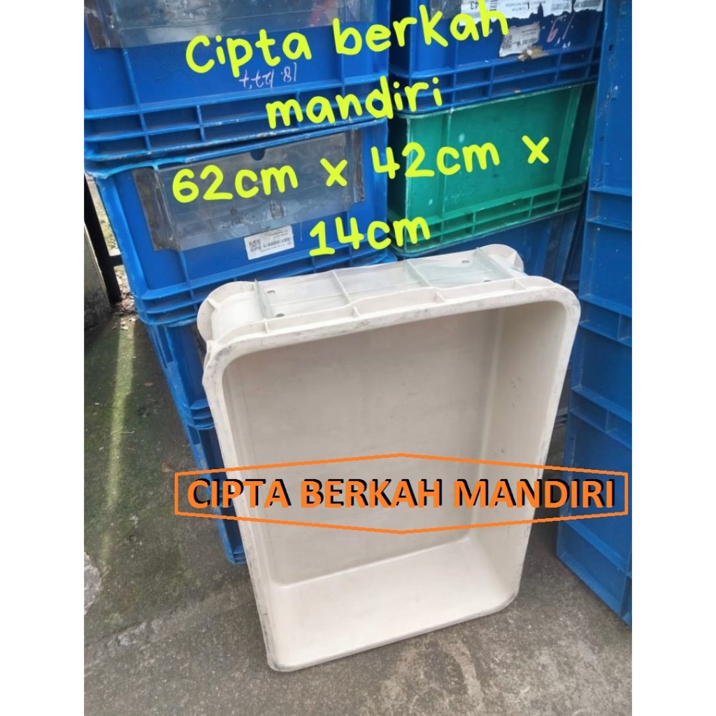 Jual Bak Container Plastik Bak Magot Bak Ikan / Bak kura kura / Box ...