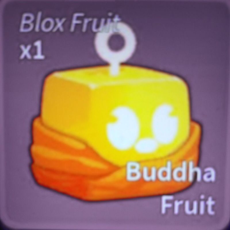 Jual BUDDHA FRUIT TRADE BLOX FRUIT | Shopee Indonesia