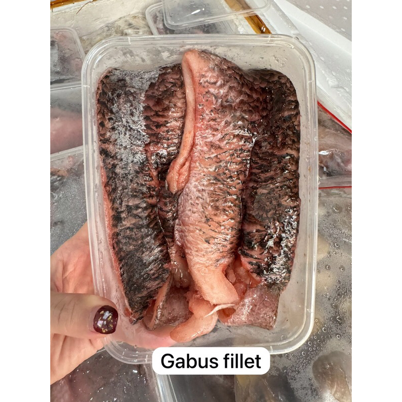 Jual gabus fillet | Shopee Indonesia