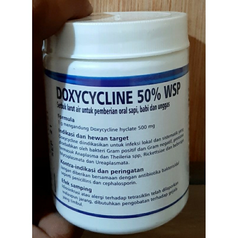 Doxycycline Jual Online: Panduan Lengkap Risiko, Manfaat, dan Alternatif Aman