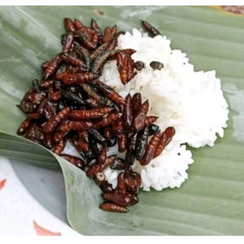 Jual Entung jati Goreng Wonogiri,sangat lezat di temani nasi dan sambal ...