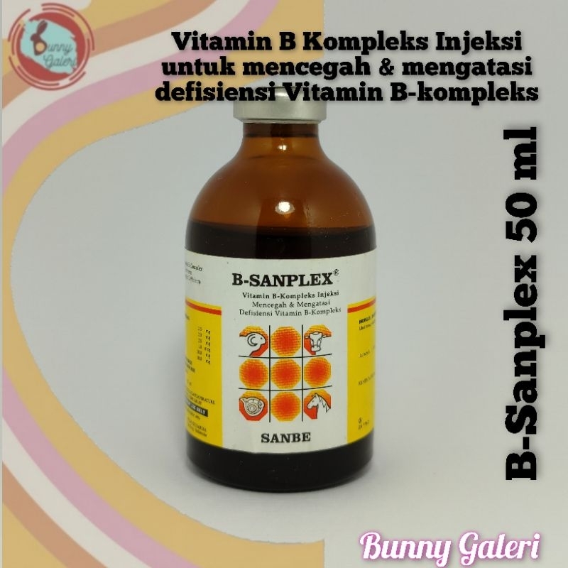 Jual B-SANPLEX 50 Ml Untuk Mengatasi Dan Mencegah Defisiensi Vitamin B ...