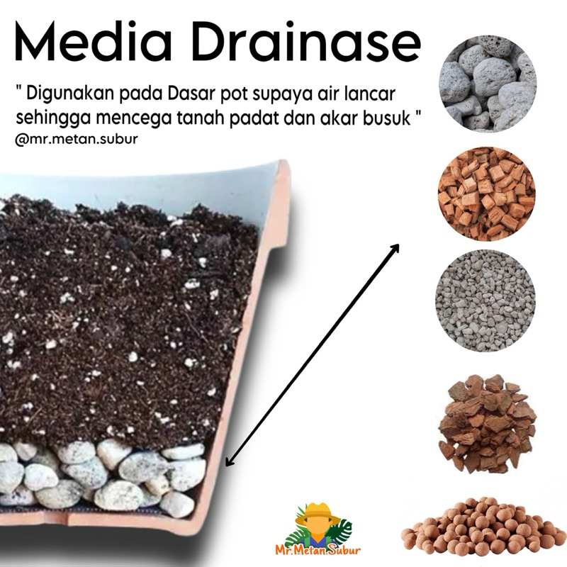 Cara membuat drainase pot yang benar untuk mencegah kerusakan akar tanaman