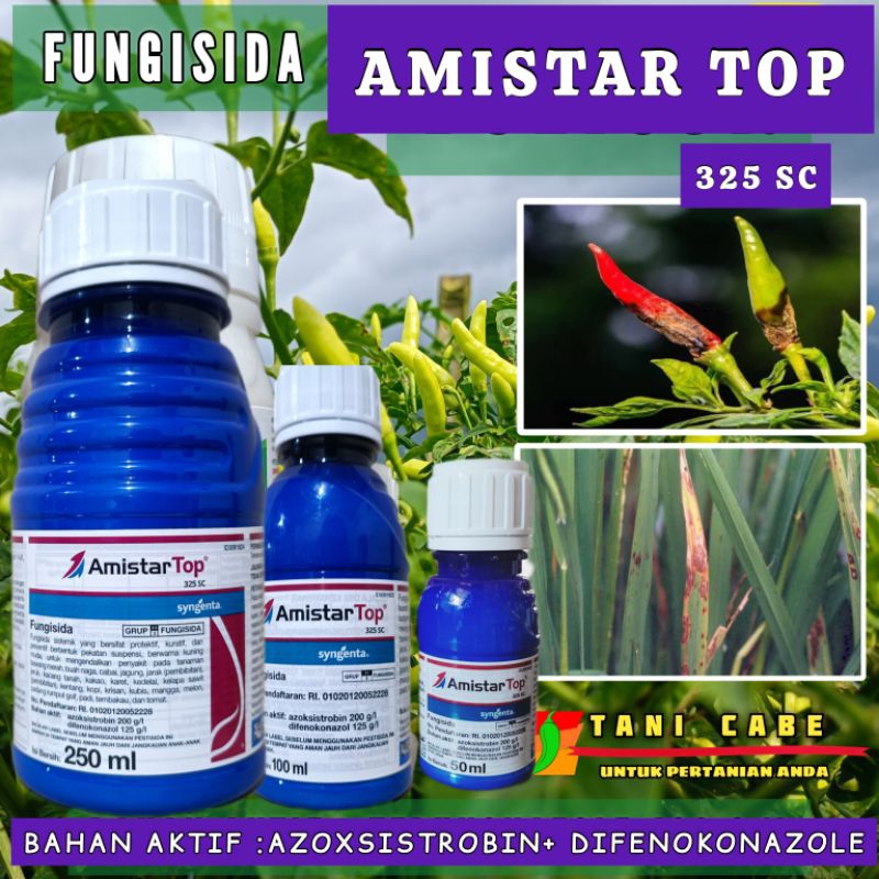 Jual FUNGISIDA AMISTAR TOP 325SC-100 ML | Shopee Indonesia