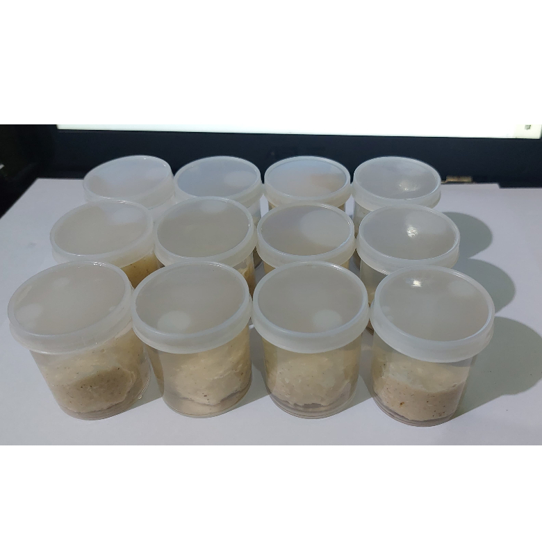 Jual 12pcs Pulut Polos/Getah Jebak Burung/1 Pack | Shopee Indonesia