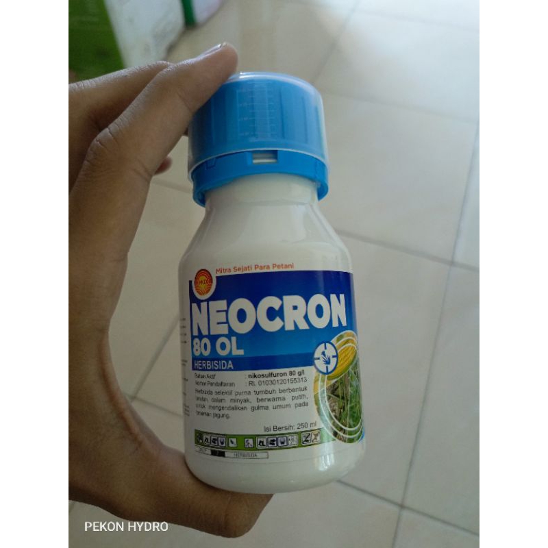 Jual NEOCRON 80 OL - 250 ML - Nikosulfuron Herbisida Selektif Jagung ...