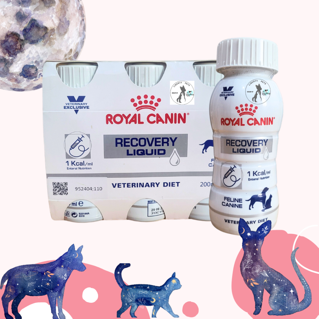 Jual Royal Canin Recovery Liquid Cair 200ml Kucing Anjing Cat Dog 1 