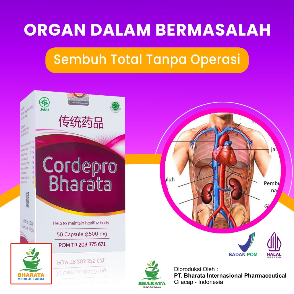Obat Herbal Paru-Paru / Pneumonia - Sesak Nafas - Batuk Berkepanjangan - Cordepro Bharata