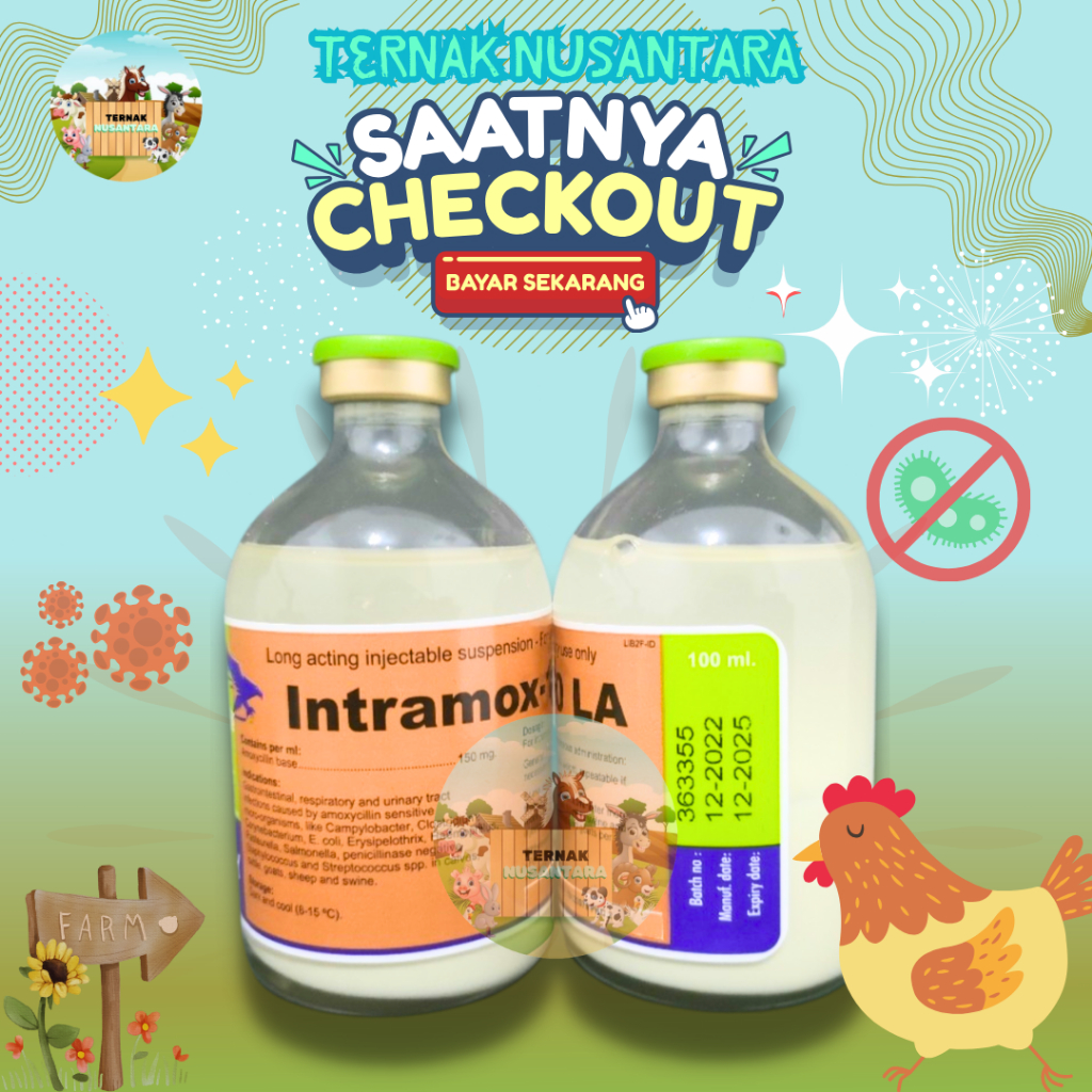 Jual INTRAMOX-150 LA 100 ML - Kandungan Amoxycilin Infeksi Saluran ...