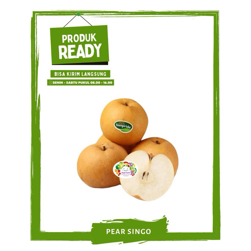 Jual Pir / Pear Singo / Buah Buahan Segar Ready On Mallahrizwa | Shopee ...