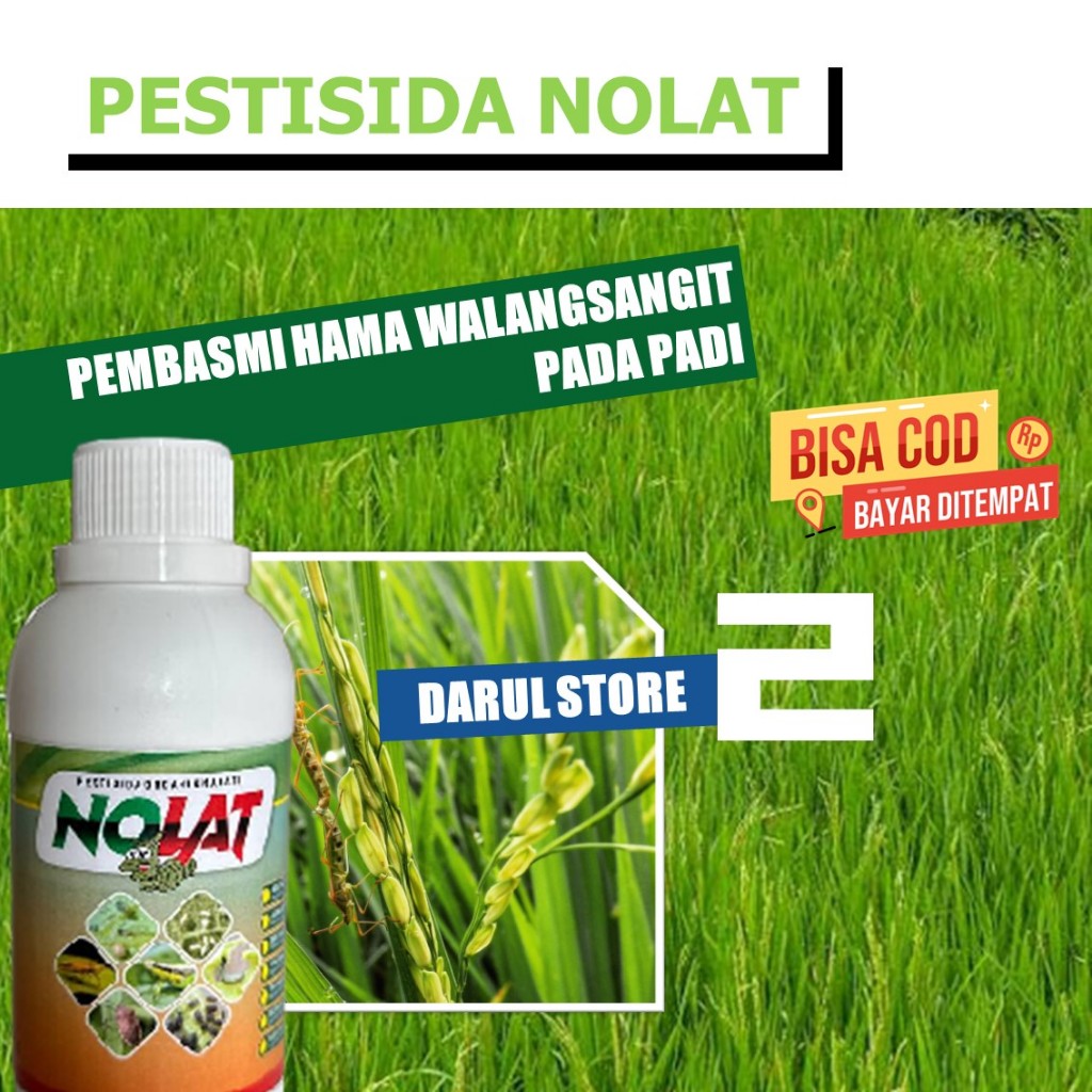 Jual Insektisida Nabati Nolat 250 ml Mengatasi Hama Walang Sangit ...